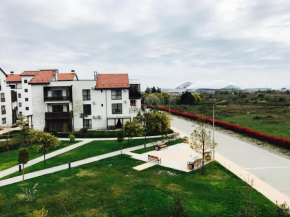 Apartment Imeretinskiy